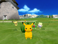 Pokemon Channel (Pre-Owned)