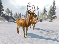 Cabela's Trophy Bucks (Pre-Owned)