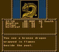 Advanced Dungeons & Dragons Pool of Radiance (Cartridge Only)