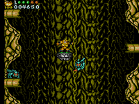 Battletoads In Battlemaniacs (As Is) (Cartridge Only)