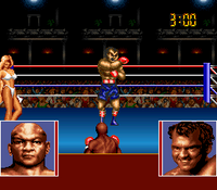 George Foreman's KO Boxing (Cartridge Only)