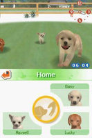 Nintendogs Best Friends (Pre-Owned)