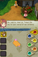 Final Fantasy Crystal Chronicles: Echoes of Time (Cartridge Only)