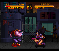 Double Dragon V The Shadow Falls (Cartridge Only)