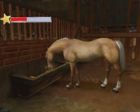 Horse Life Adventures (Pre-Owned)