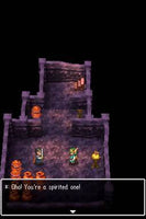 Dragon Quest IV Chapters of the Chosen (Pre-Owned)