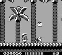 Adventure Island (Cartridge Only)