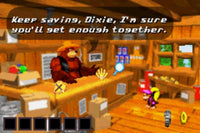 Donkey Kong Country 3 (Cartridge Only)