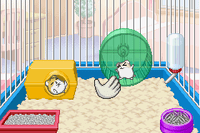 Petz Hamsterz 2 (Cartridge Only)