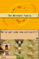 Harvest Moon Island of Happiness (Pre-Owned)