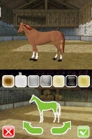 My Horse & Me: Riding for Gold (Cartridge Only)
