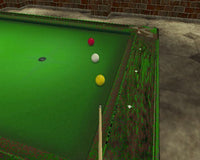 Real Pool (Pre-Owned)