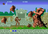 Altered Beast (Complete in Box)