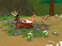 Sim Animals (Pre-Owned)
