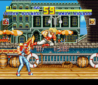 Fatal Fury Special (Cartridge Only)