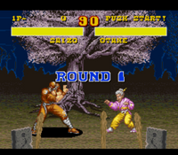 Power Instinct (Cartridge Only)