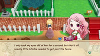 Story of Seasons Friends of Mineral Town