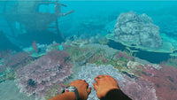 Stranded Deep (Pre-Owned)