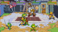 Teenage Mutant Ninja Turtles: Shredder's Revenge (LRG) (Pre-Owned)