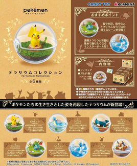 Pokemon Terrarium Collection 1 (Full Sealed Box)