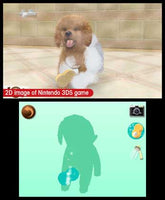 Nintendogs + Cats (Toy Poodle Edition) (Pre-Owned)