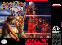 Dig & Spike Volleyball (Cartridge Only)