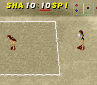 Dig & Spike Volleyball (Cartridge Only)