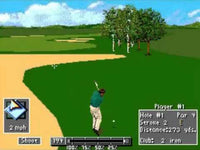 PGA Tour '96 (Cartridge Only)