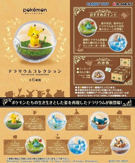 Pokemon Terrarium Collection 1 (Single Blind Box)
