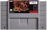 Pit-Fighter (Cartridge Only)