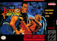 Art of Fighting (Cartridge Only)