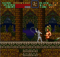 Super Castlevania IV (Cartridge Only)