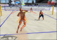 Summer Heat Beach Volleyball (Pre-Owned)