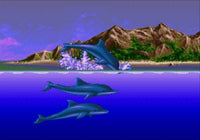 Ecco the Dolphin (Complete in Box)