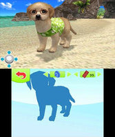 Petz: Beach (Pre-Owned)