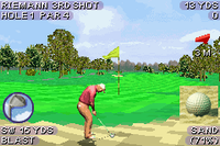 Tiger Woods PGA Tour 2004 (Cartridge Only)