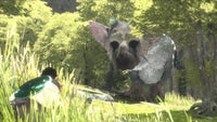 The Last Guardian (Pre-Owned)